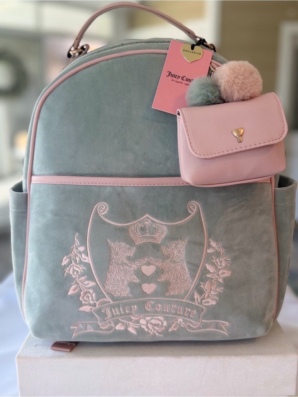 Juicy Couture Mint Green Velvet Backpack with Pink Trim & Pom Pouch
